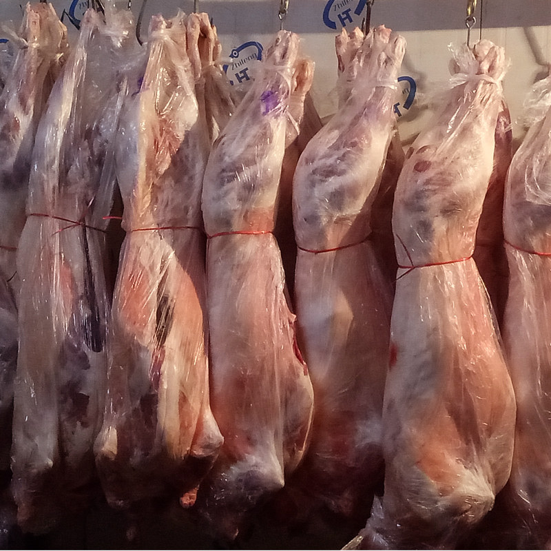 民勤羊羔肉新鲜现杀靖远羊羔肉