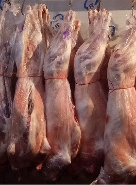 民勤羊羔肉新鲜现杀靖远羊羔肉