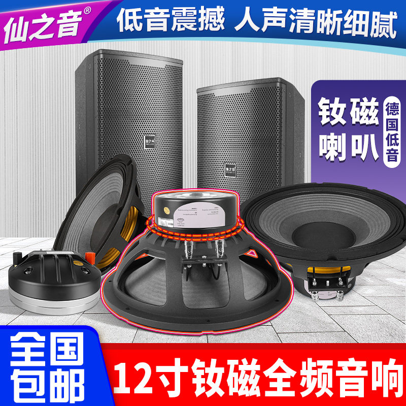 仙之音610/12/15寸钕磁喇叭专业演出舞台音箱套装KTV娱乐会议音响