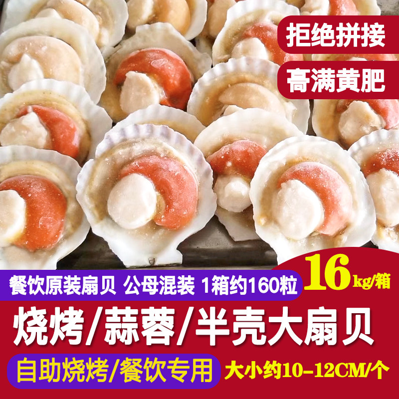 超大半壳扇贝鲜活冷冻蒜蓉粉丝带壳扇贝海鲜水产烧烤专用16kg整箱