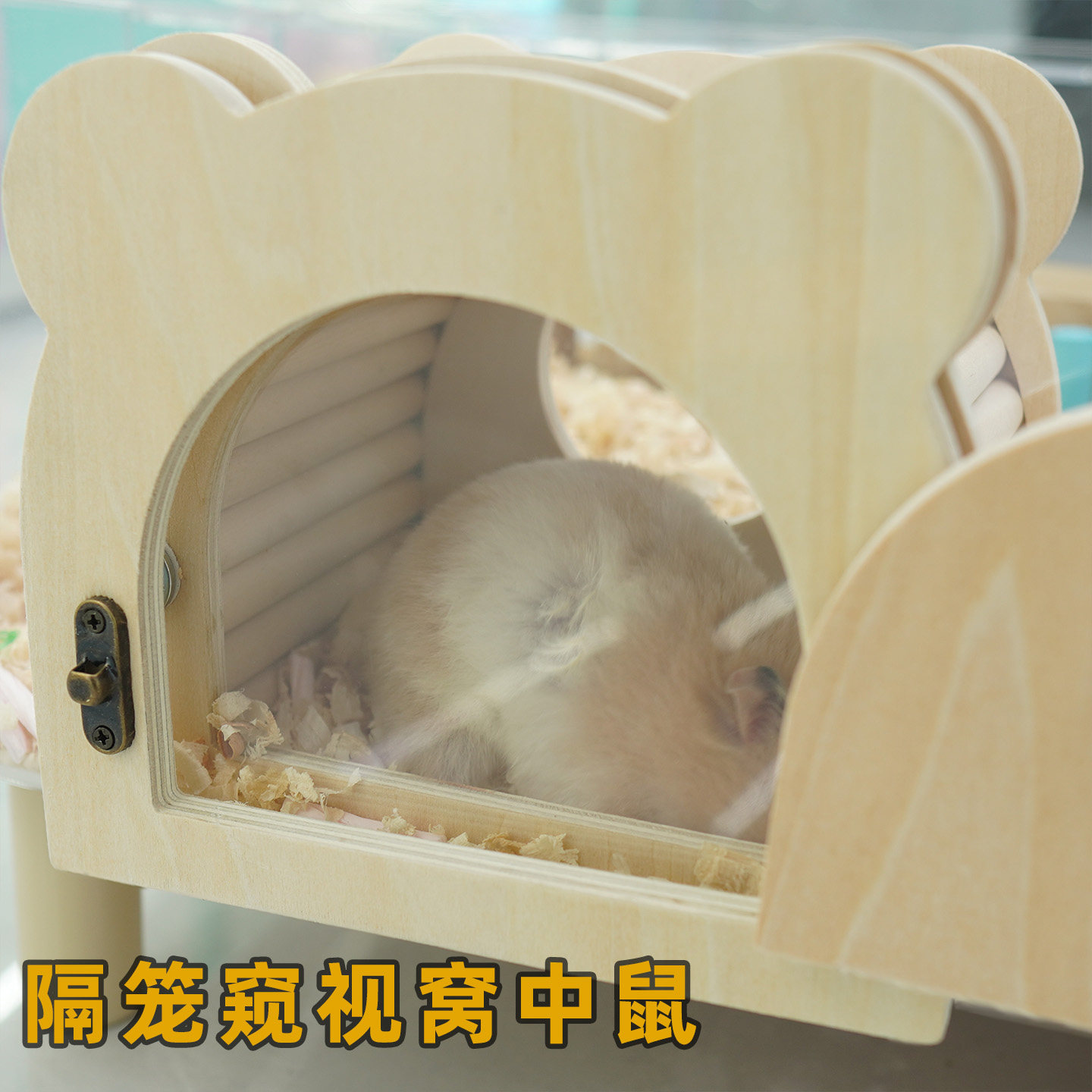 仓鼠偷窥屋磁吸外偷窥木窝房子可爱造景用品玩具金丝熊仓鼠躲避屋,宠物/宠物食品及用品,窝,淘宝优惠券,粉丝福利购,淘宝优惠卷