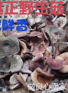 正宗野生土特产青头杂菌白蘑菇干货农家自产美味山货500g包邮