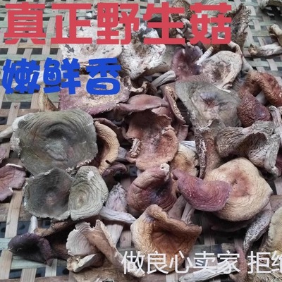 正宗野生土特产青头杂菌白蘑菇干货农家自产美味山货500g包邮