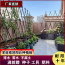 家庭特大塑料花盆长方形 楼顶阳台种菜盆 蔬菜种植箱专用花箱花槽