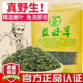 女性姨妈童子益母草嫩叶 新鲜野生干益母草叶干 北匠益母草 正品