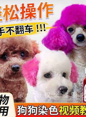 狗狗专用染发膏宠物美发膏白色樱花粉红橙色泰迪狗博美犬染毛膏剂