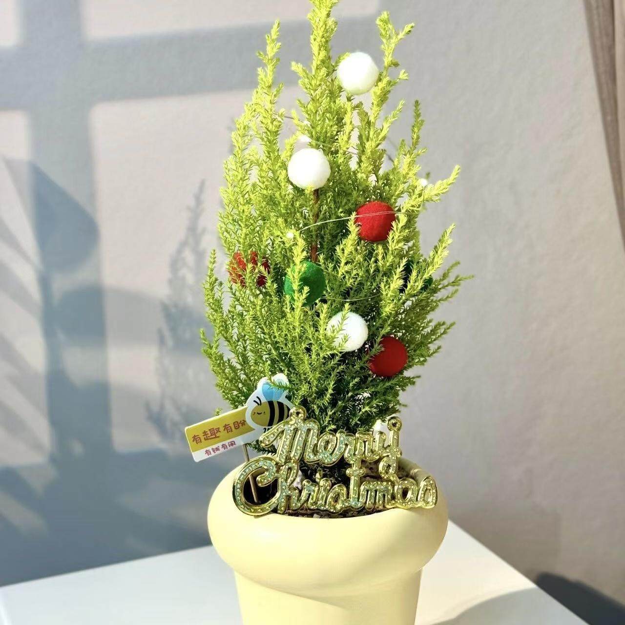 香松客厅净化空气美观圣诞树绿植