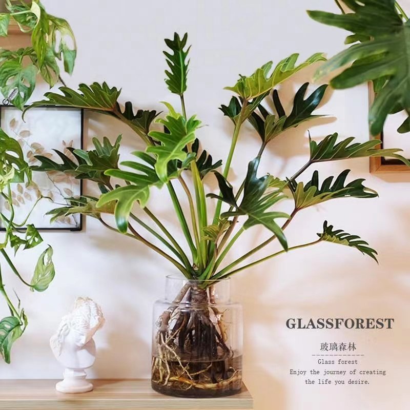 小天使客厅净化空气防辐射