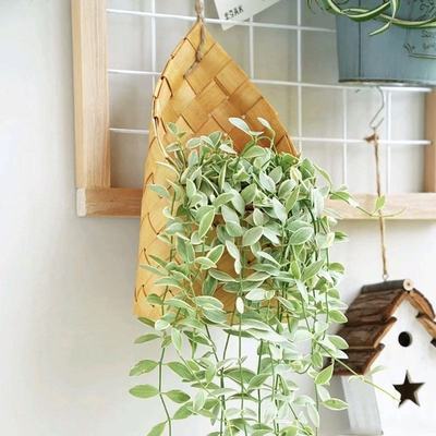 木质编织花篮挂墙壁挂式花篮厨房