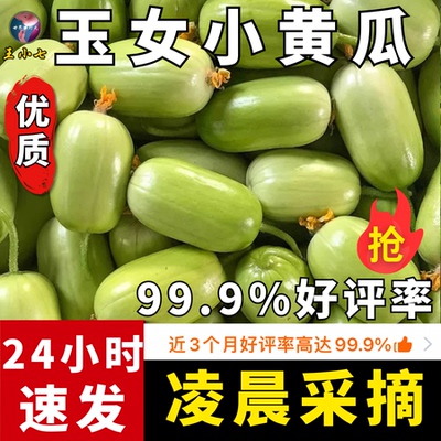 山东寿光玉女黄瓜水果小黄瓜拇指黄瓜生吃青瓜旱白玉黄瓜新鲜整箱