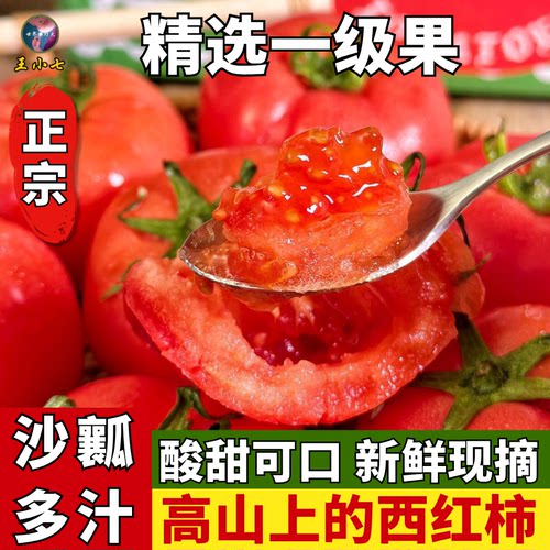 湖北吉诺比利沙瓤生吃熟吃西红柿好吃新鲜现摘水果番茄酸甜皮薄面