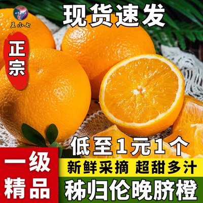 湖北秭归伦晚脐橙新鲜甜橙子应季水果整箱大纽荷尔甜橙王小七精选