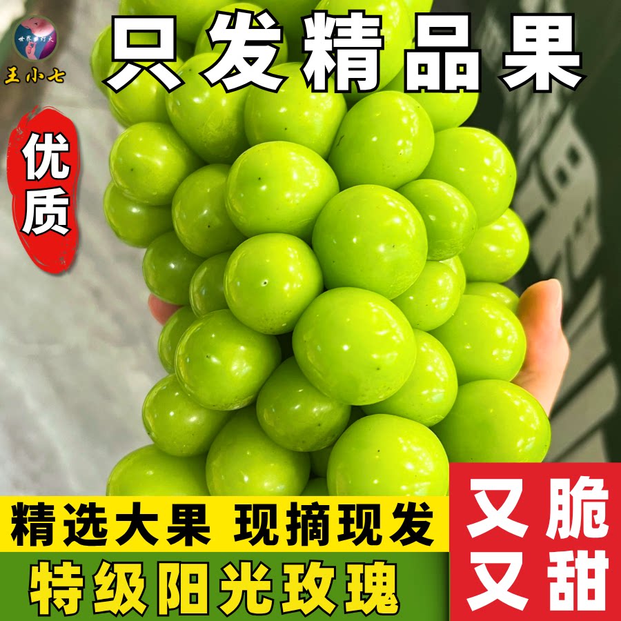 四川大凉山阳光玫瑰葡萄新鲜水果时令晴王葡萄香甜青提子当季整箱