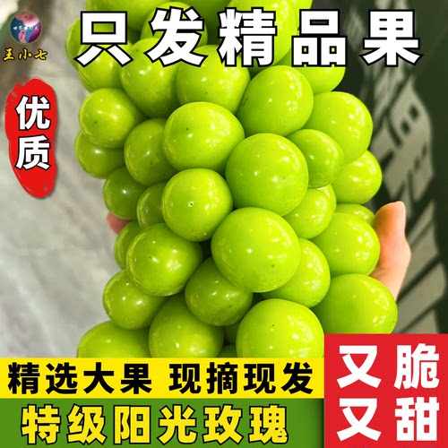 四川大凉山阳光玫瑰葡萄新鲜水果时令晴王葡萄香甜青提子当季整箱