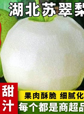 湖北苏翠梨新鲜梨子苏翠一号清甜酥脆青皮梨多汁当季整箱现摘水果