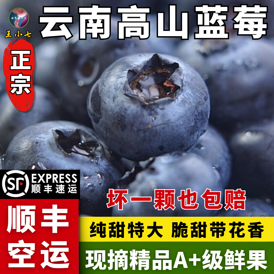 【顺丰空运】云南高山L25蓝莓抚仙湖玉溪新鲜高端特大花香脆甜