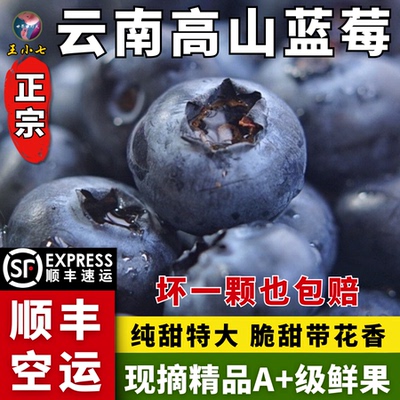 【顺丰空运】云南高山L25蓝莓抚仙湖玉溪新鲜高端特大花香脆甜