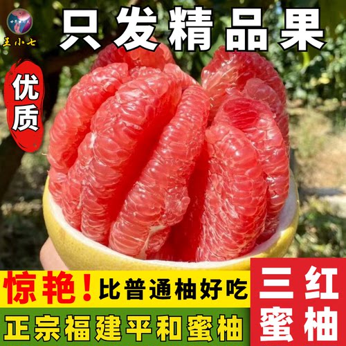 福建漳州平和琯溪蜜柚正宗三红柚当季鲜果新鲜水果红肉王小七精选