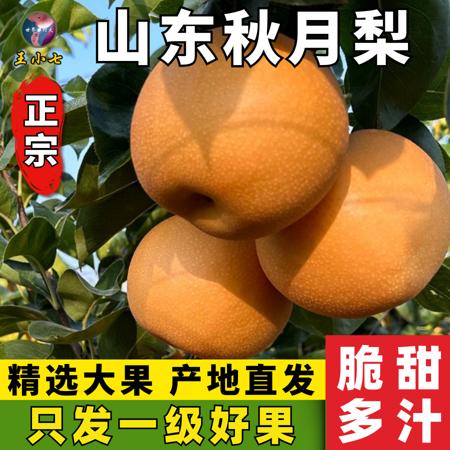 山东烟台莱阳海阳秋月梨新鲜水果当季整箱包邮应季中秋精选冰糖梨