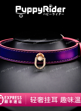 PUPPYRIDER亚文化暗黑温变项圈