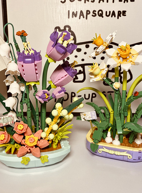 Bros Block中国积木水仙花盆栽塑料摆件植物盆景假花女孩拼装玩具