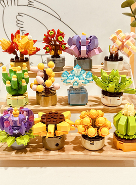 Bros Block国产积木花束多肉拼装盆栽玩具情人节女友生日女生礼物