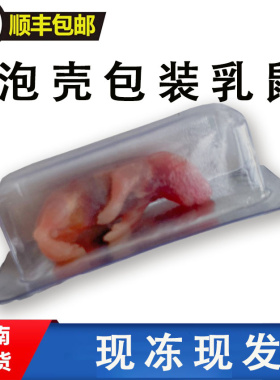 冷冻乳鼠小老鼠幼鼠冰冻小白鼠喂蛇饲料红皮独立包装湖南发货