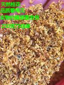 无硫桂花花茶天然新鲜干桂花特级食用正宗桂花散装 250克金桂花