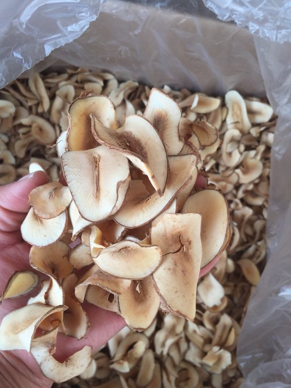 海椰子 材 海底椰片 原色新鲜无硫 煲汤料 500克 包邮中药材