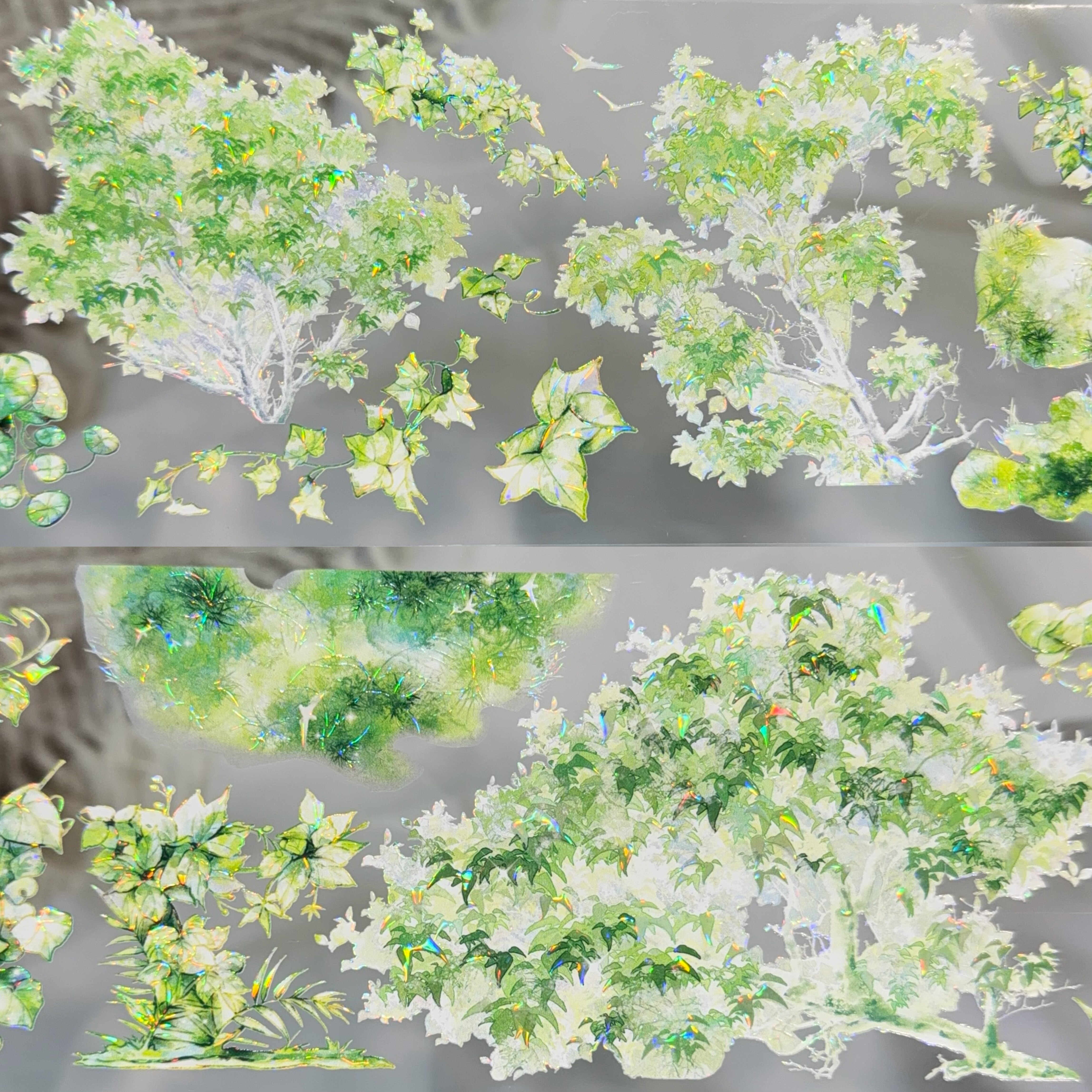 昨日逢春分装手账胶带绿色的诗绿枝背景流麻咕卡背卡