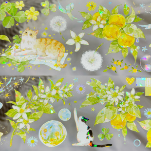 朝夕分装手账胶带苹果乐园生如夏花夏日午后番茄园水果合集贝壳光