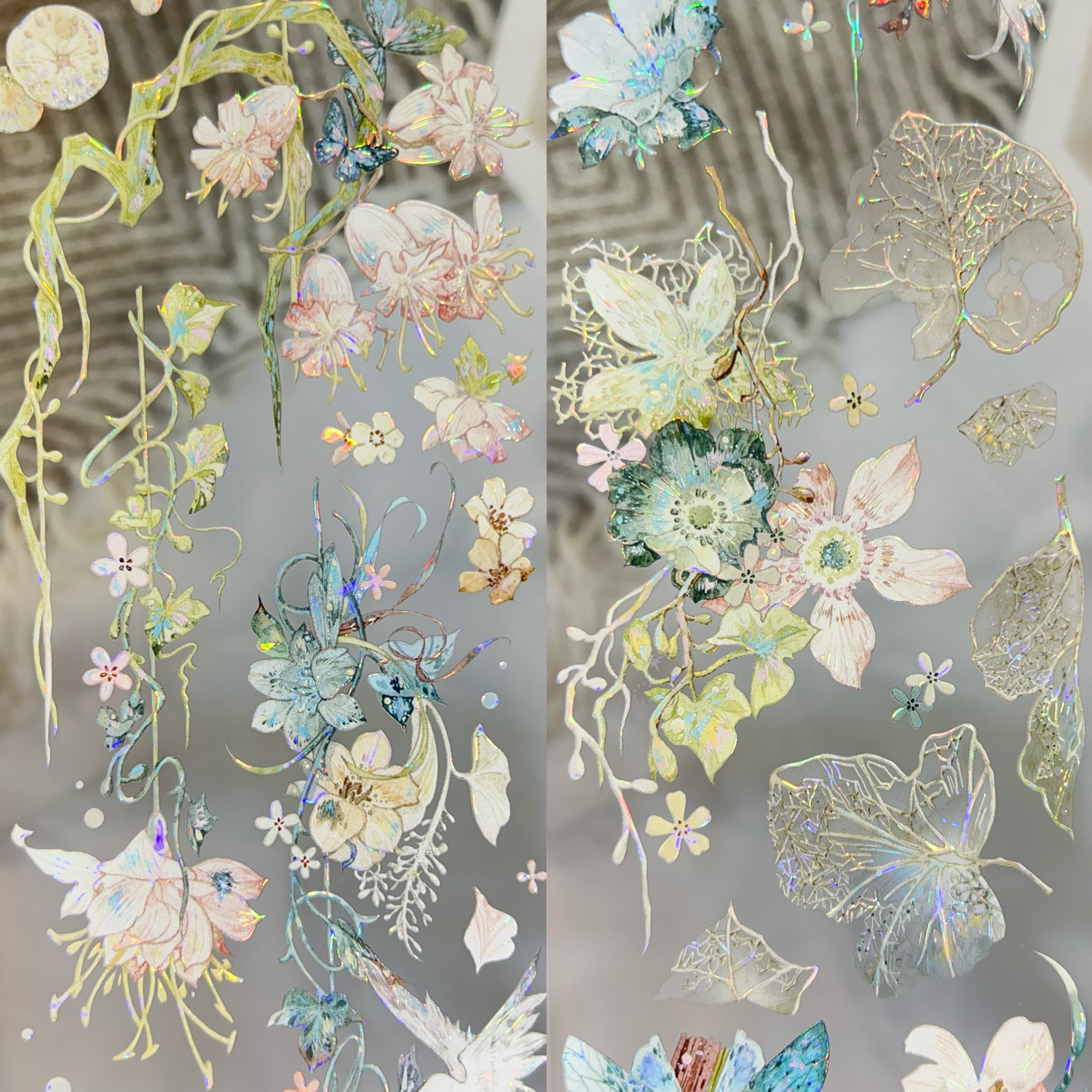 叉叉分装手账胶带花苔观察手记薄夏绒栗羽柏还林日花朵森林小物