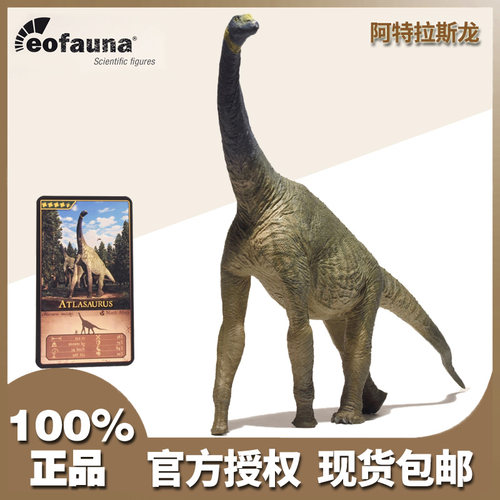 西班牙eofauna龙仿真gk恐龙玩具