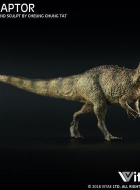 现货Vitae 董氏中华盗龙恐龙模型儿童玩具仿真恐龙摆件