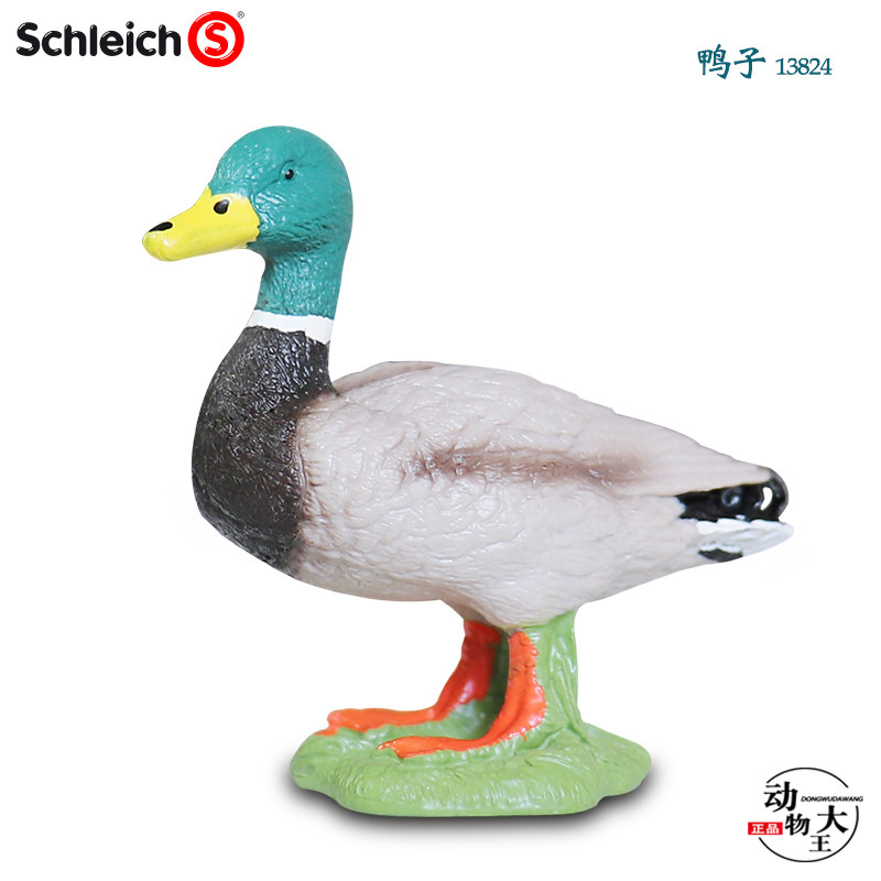 思乐Schleich仿真野生动物模型儿童塑料玩具13824 公鸭子青头鸭