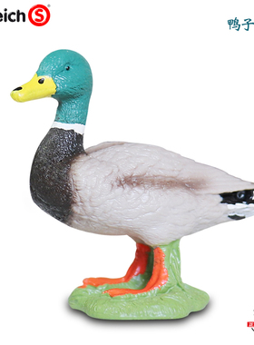思乐Schleich仿真野生动物模型儿童塑料玩具13824 公鸭子青头鸭