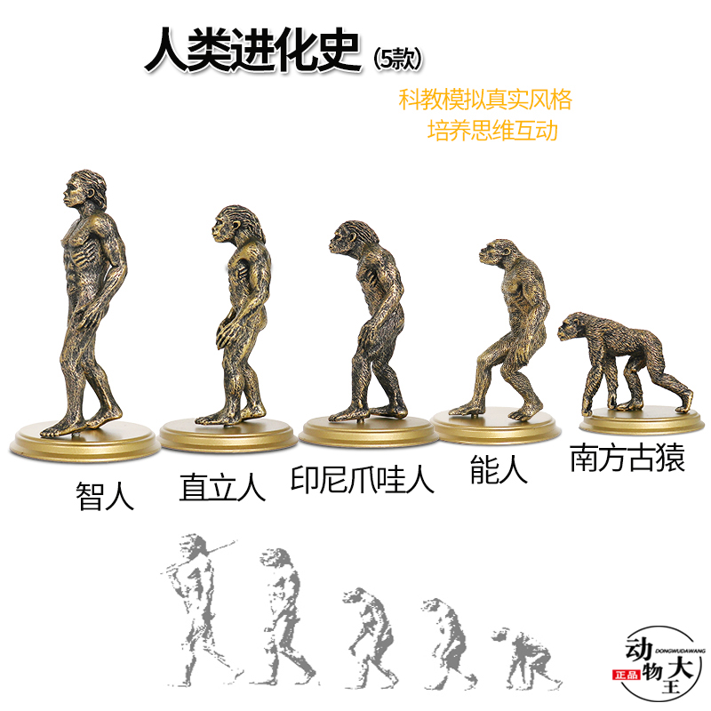 人偶进化史摆件教学电影塑料玩具