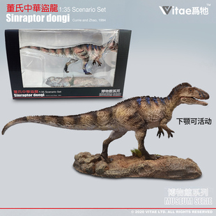 热销Vitae仿真仿真恐龙模型塑料玩具摆件中华盗龙盒装备礼品
