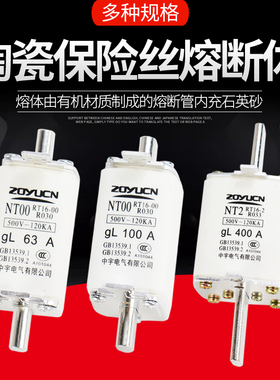 陶瓷保险丝熔断器RT36 RT16 NT00低压32A40A50A63A100A125A160A
