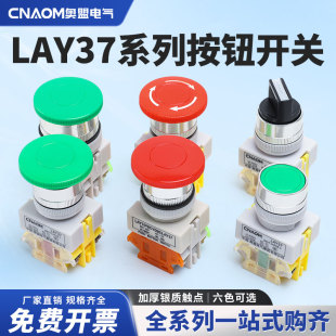 LAY37按钮开关旋钮急停蘑菇头自锁自复位开孔22圆形两常开两常闭