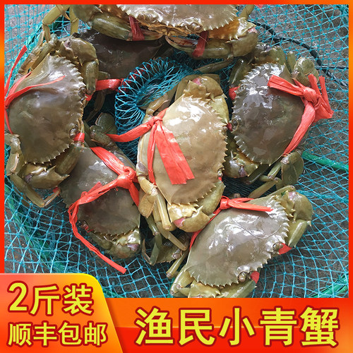 渔民小青蟹(2斤装约6-15只内)小海蟹螃蟹鲜活海鲜水产包邮顺丰