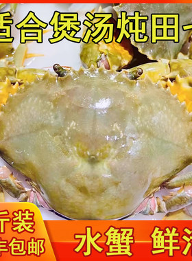渔民水蟹(2斤装/约3-5只)潮汕怕蟹海螃蟹鲜活(水蟹煲汤炖田七）
