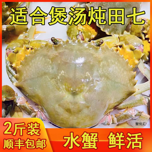 渔民水蟹(2斤装/约3-6只)潮汕怕蟹海螃蟹鲜活(水蟹煲汤炖田七）