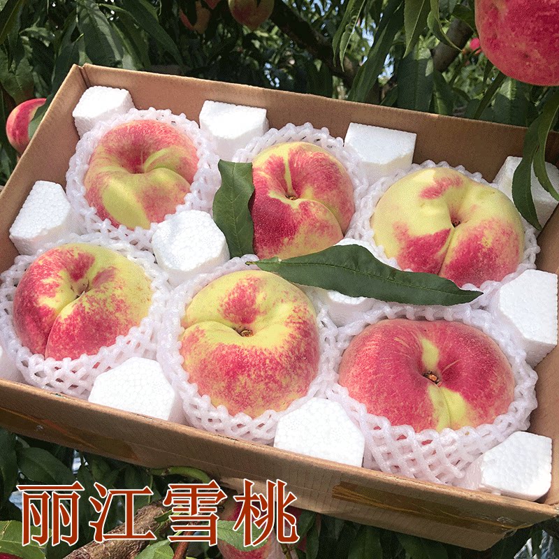 云南丽江冬雪桃天山脆甜大果中华寿桃红心佛桃子直供当季礼品盒