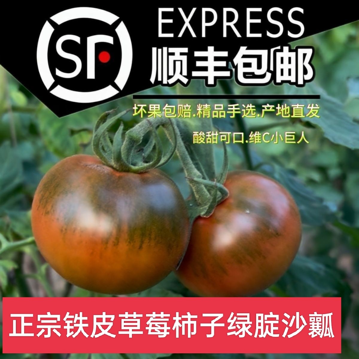 正宗铁皮草莓柿子新鲜碱地自然熟绿腚西红柿水果番茄老味小时候味,水产肉类/新鲜蔬果/熟食,番茄,淘宝优惠券,粉丝福利购,淘宝优惠卷