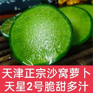 天津沙窝萝卜天星2号带防伪码水果萝卜应季青萝卜甜脆礼盒整箱9斤