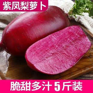 天津正宗紫美人凤梨萝卜红皮红肉胭脂萝卜脆甜多汁现拔产地直销