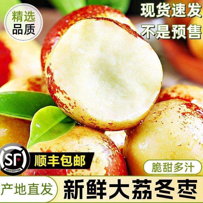 正宗陕西大荔冬枣脆甜大果直发