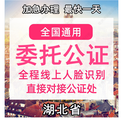 湖北省公证处委托书声明签名字出行同意书证据保全过户异地远程