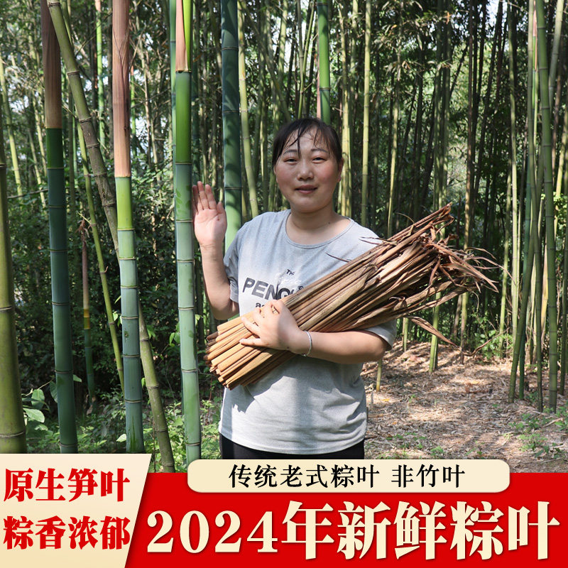 新鲜粽叶大号干粽子叶大别山竹笋壳包粽子芦苇叶老式毛竹楠竹端午